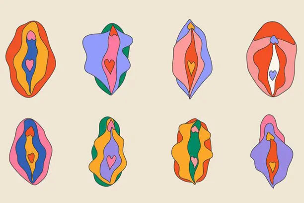 Viva la Vulva